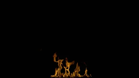 Steady Bonfire/Campfire Loop 05 (HD) Stock Footage 201333787