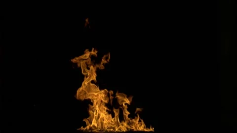 Steady Bonfire/Campfire Loop 06 Видео 201333793