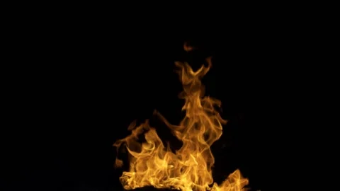 Steady Bonfire/Campfire Loop 08 (HD) Stock Footage 201333799