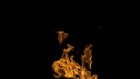 Steady Bonfire/Campfire Loop 10 (HD) Stock Footage 201333796