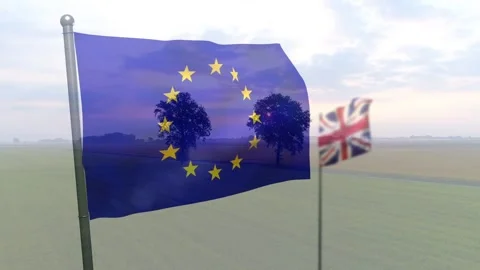 Steady breeze causing EU flag waving, revealing tree shadows through thin fabric Stock Footage 334884098