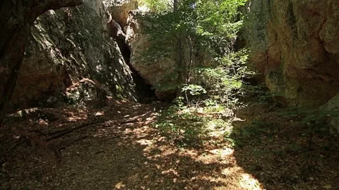 Steady cam shot, walking on track to old Unesco tomb in the forest 스톡 동영상 69999470