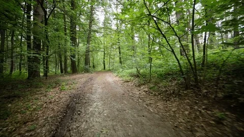 Steady cam view of man riding bicycle on forest road Stock Footage 77385993