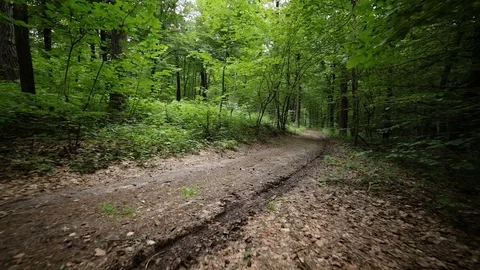 Steady cam view of man riding bicycle on forest road Stock Footage 77386878