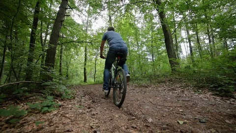 Steady cam view of man riding bicycle on forest road Stock Footage 77387550