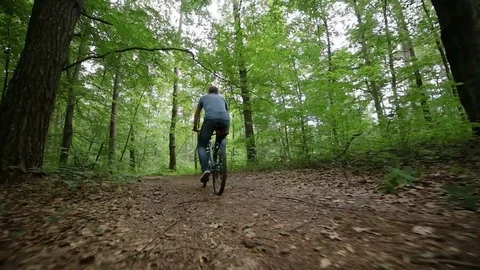 Steady cam view of man riding bicycle on forest road Stock Footage 77388729