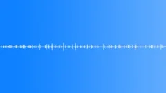 Steady Campfire LoopSound Effect