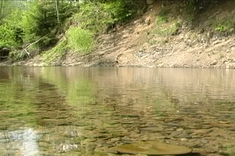 Steady Carpathian river Stock Footage 5536975
