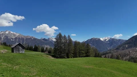 Steady Drone Push Towards a Dense Coniferous Forest and Snowy Alpine Bac Vídeo Stock 338225216