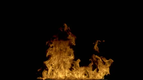 Steady Fire from Bottom Element 03 (HD) Stock Footage 201333810