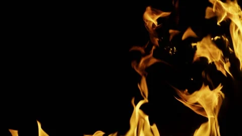 Steady Fire from Bottom Element 06 (HD) Stock-Footage 201333808