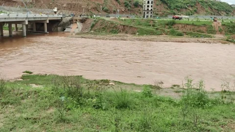 Steady Floodwater Flows Under Bridge with Sediment in Urban Area Stock Footage 313543308