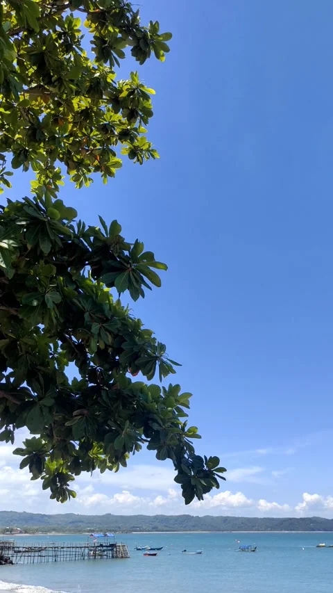 Steady Handheld Calm Beach with Distant Boats and Swaying Leaves part of a t Stockbeeldmateriaal 274304227