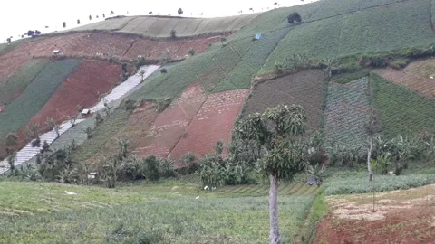 Steady hills Video stock 237130634