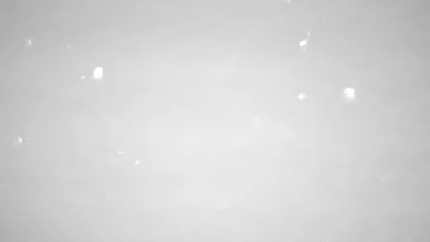 Steady moving shining snow background. Stock Footage 87192656