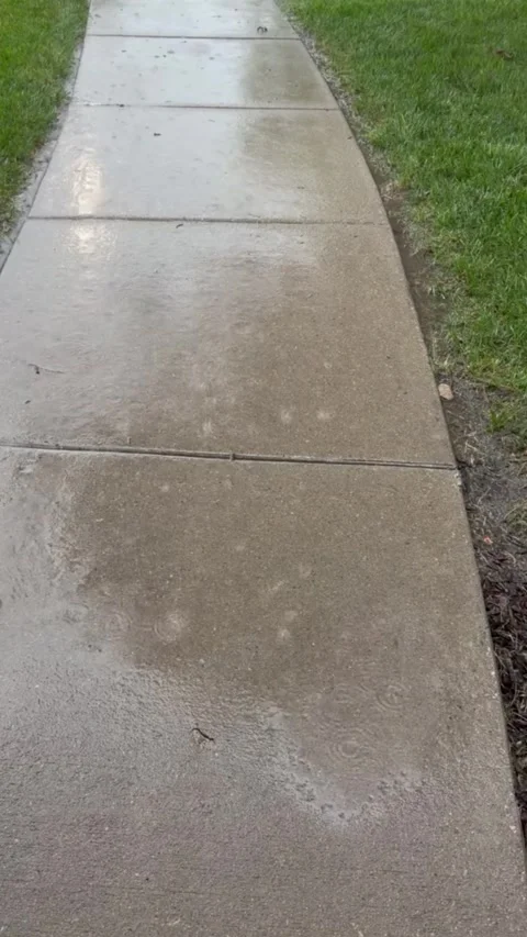 Steady  Rain on Wet Sidewalk Stock-Footage 338314506
