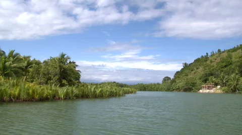 Steady river shot while driving along Video stock 610182