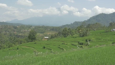 Steady shot of Bali landscape 库存影片 90651272