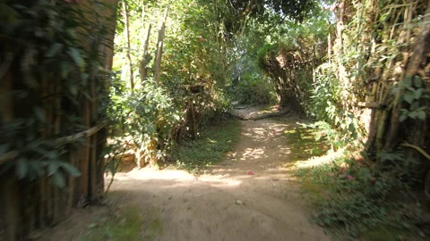 Steady shot between trees and fences of a path in a garden, in Ethiopia Stock Footage 230612891