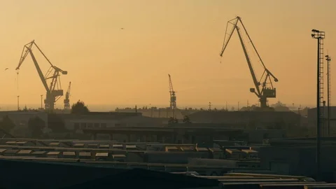 Steady shot of cranes working in the shipyard Stock Footage 83394489