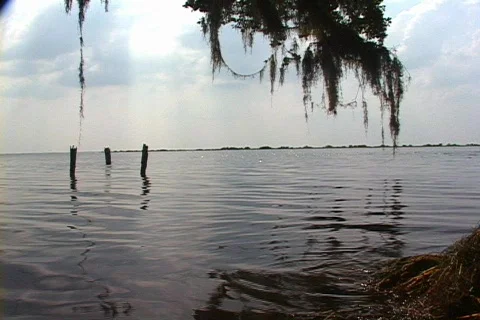 Steady Shot of Kayaks Landing Stock Footage