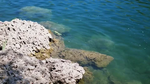Steady shot at low angle when crystal clear waves crash into a rock on the shore Video stock 151205641