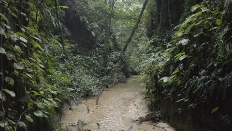 Steady shot pulls back over a stream in a lush green canyon in Colombia 스톡 동영상 104754551