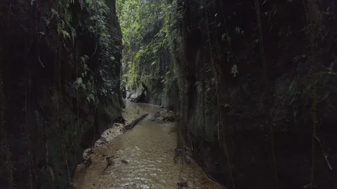 Steady shot through the tall dark canyons of Las Dalias reserve in Caqueta Stock-Footage 104755945