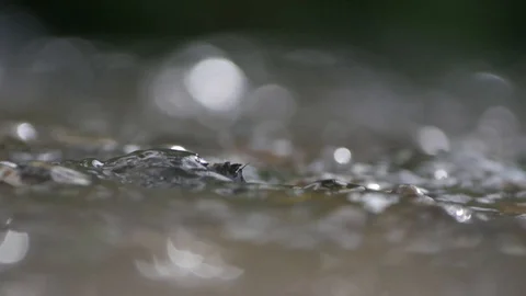 A steady shot of water going over what seems to be a twig Stock Footage 108644869