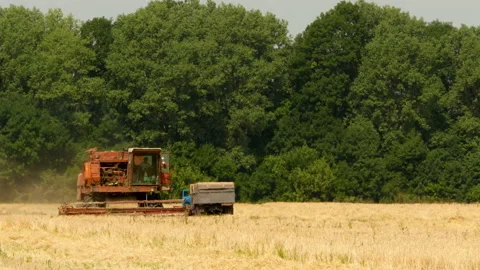 Steady slide shot of harvester combine machine working on wheat field Stock Footage 140302425