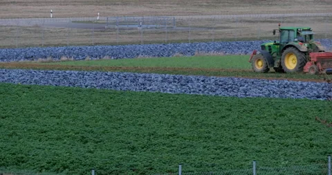 Steady slide of a tractor working on cabbage field Stock Footage 140302320