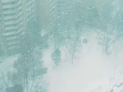 Steady Snowfall in January Stock Footage 84565944