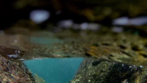A steady stream of bubbles moves under the sea as soft waves ripple above Stock Footage 312214167