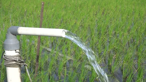 A steady stream of clear water pours from a white PVC irrigation pipe. Stockbeeldmateriaal 333471867