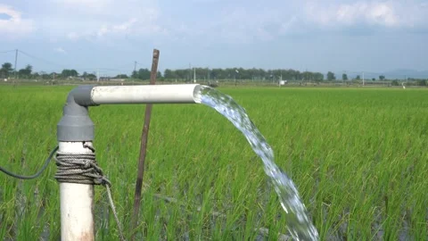 A steady stream of clear water pours from a white PVC irrigation pipe. 库存影片 333471896