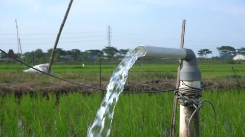 A steady stream of clear water pours from a white PVC irrigation pipe. Stock Footage 333472350
