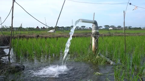 A steady stream of clear water pours from a white PVC irrigation pipe. Stock Footage 333472351
