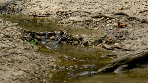 Steady stream flowing towards river 動画素材 94400660