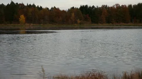 Steady Stream Stock Footage 10941865