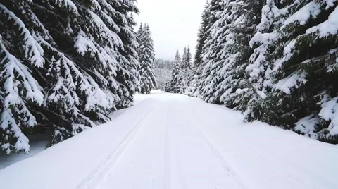 Steadycam shot on the snowy forest path Stock Footage 61870455