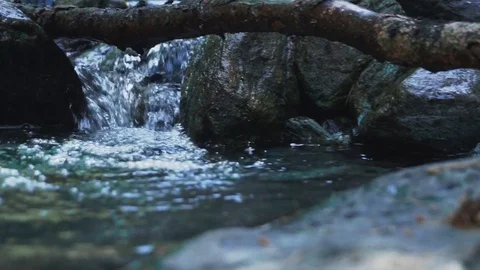 Steadyshot in slow motion on the river Stock Footage 117431694