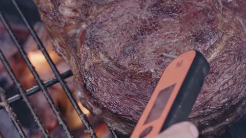 Steak being cooked slow motion thermometer Stock Footage 194714856