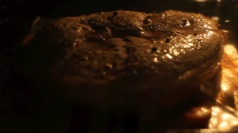 Steak in the Oven Cooking Stock Footage 88408634