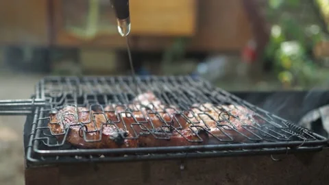 Steaks in a closed grill are fried on the grill. the smoke from the coals. the Stock Footage 167694197