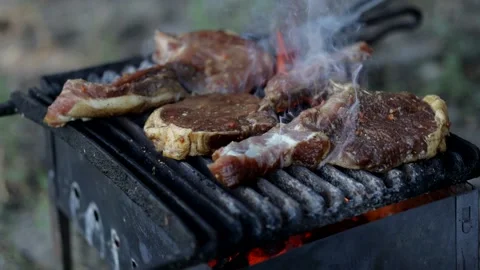 Steaks on the grill. Camping in nature. Vídeo Stock 157983017