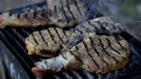 Steaks on the grill. Camping in nature Video stock 159475481