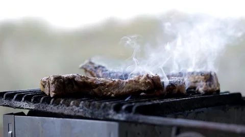 Steaks on the grill. Camping in nature Video stock 159476041