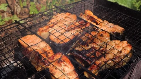 Steaks of red fish on a grill are baked on a fire. Fish is cooked on the grill Stock Footage 237919629