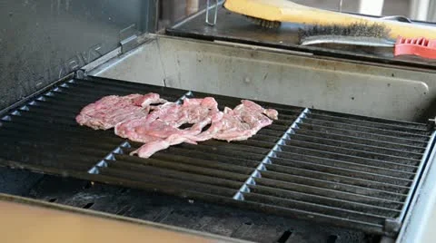 Steaks roasted in barbeque 動画素材 22044298