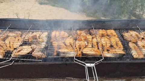 Steaks from salmon on a grill Stock Footage 100680915